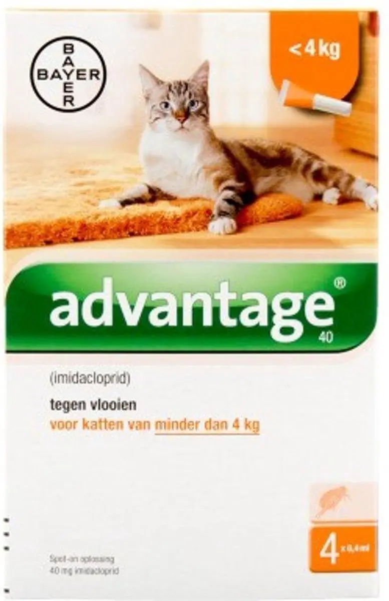 Advantage Kat Pipet 4 Stuks