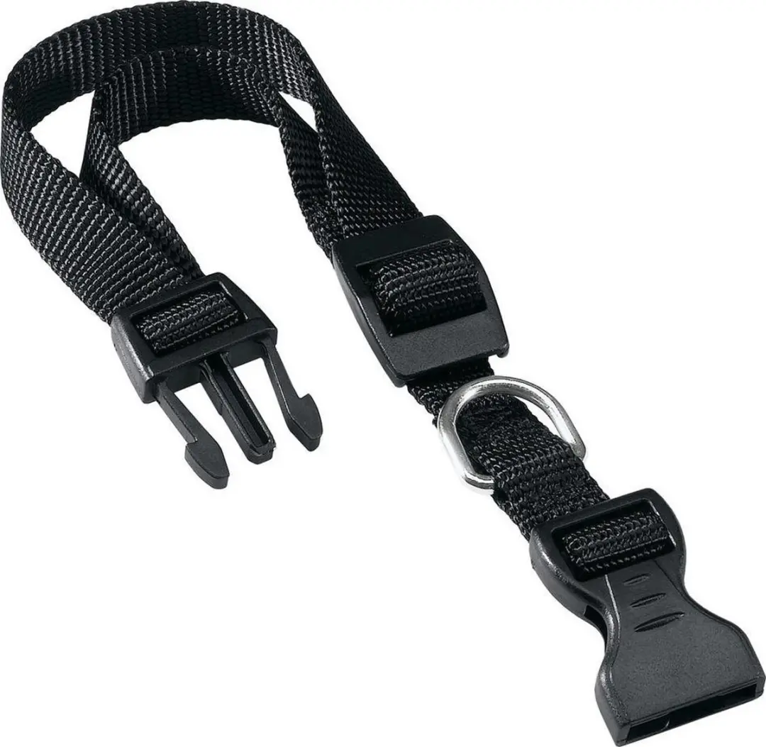 Ferplast Hondenhalsband Club 25x1cm Nylon