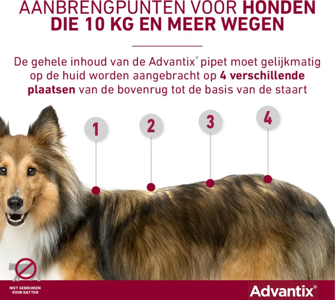 Advantix Vlooien & Teken Pipetten Hond XL - 4 Stuks