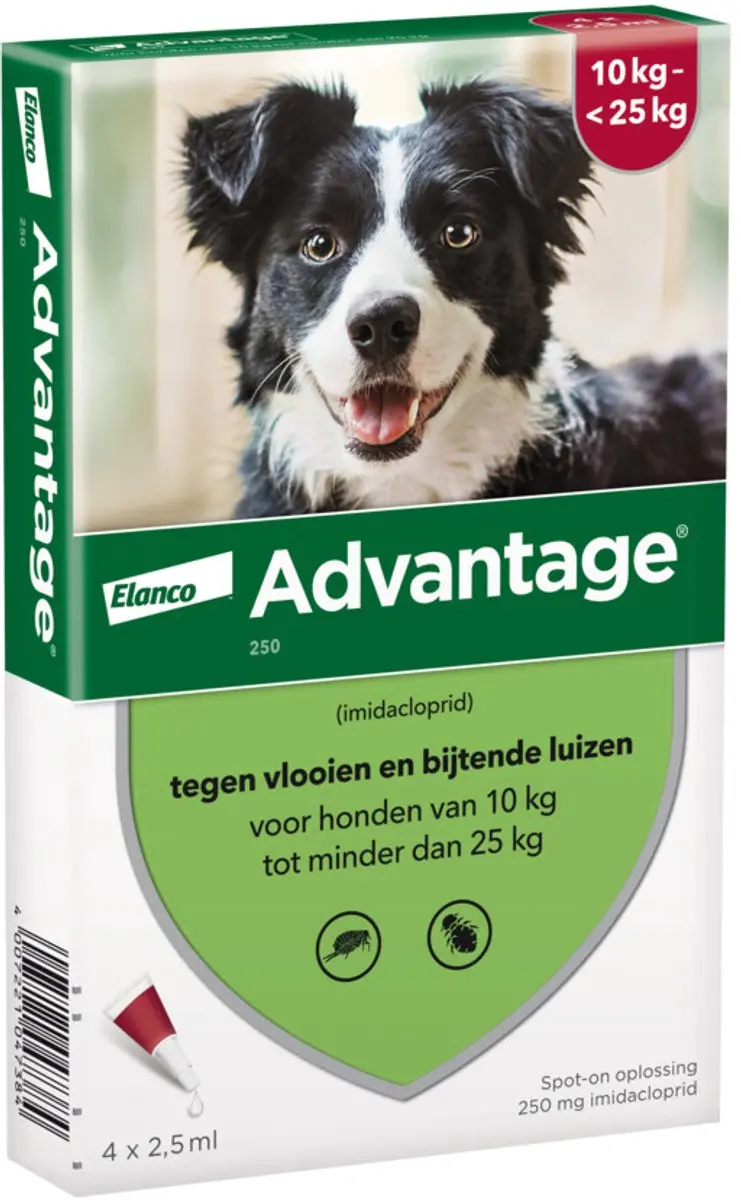 Advantage Anti Vlooiendruppels Hond 10-25 kg - 2x4 Pipetten