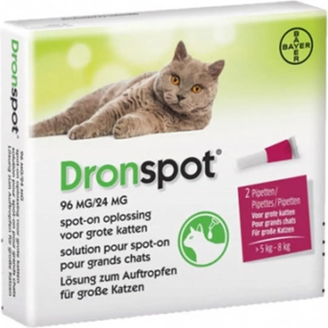 Bayer Dronspot Kat Spot-On 5-8kg