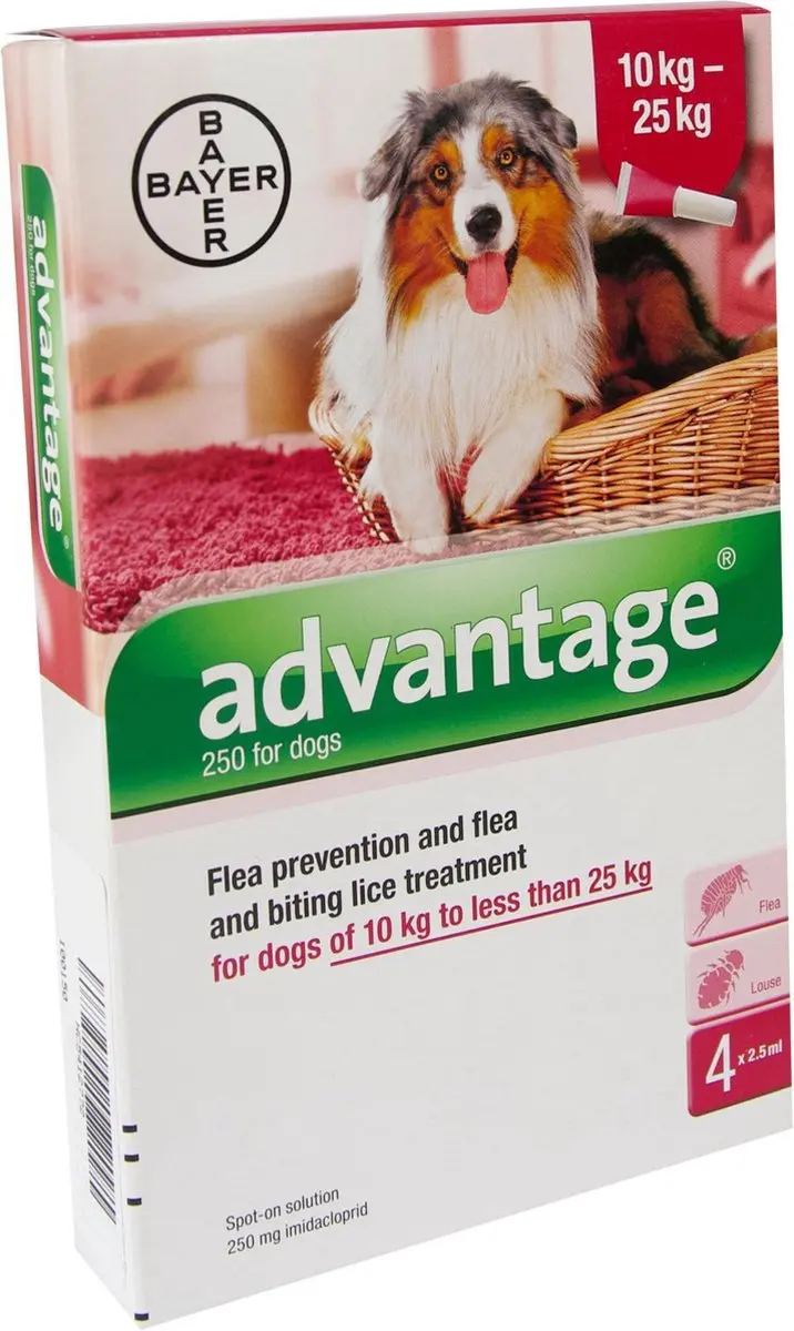 Advantage Hond Pipet 4 Stuks