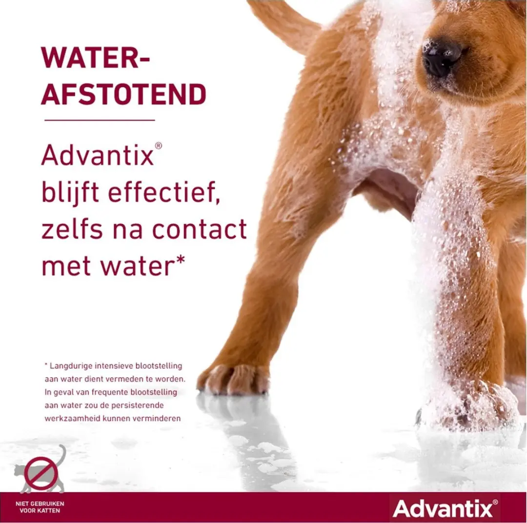 Advantix Vlooien & Teken Pipetten Hond XL - 4 Stuks - afbeelding 6 van 6