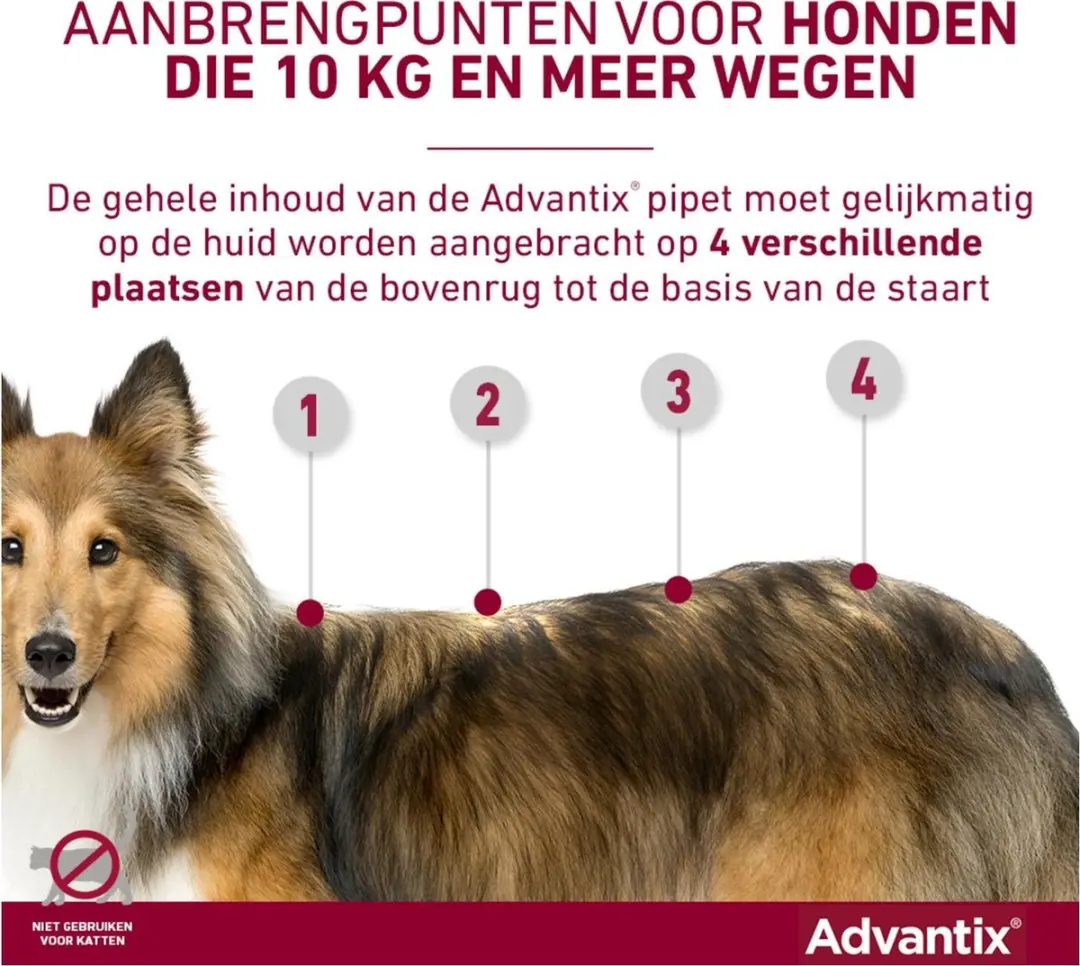 Advantix Vlooien & Teken Pipetten Hond XL - 4 Stuks