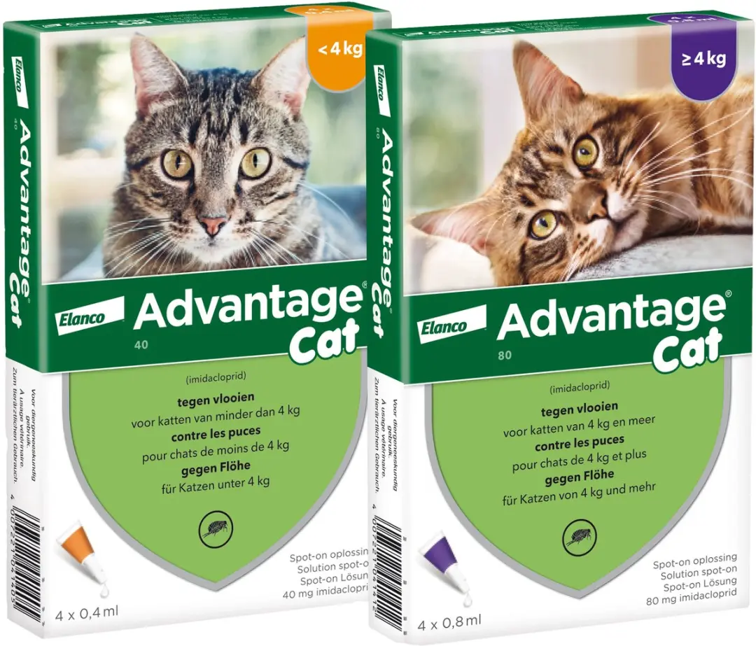 Advantage Vlooiendruppels Kat tot 4 kg - 4 Pipetten