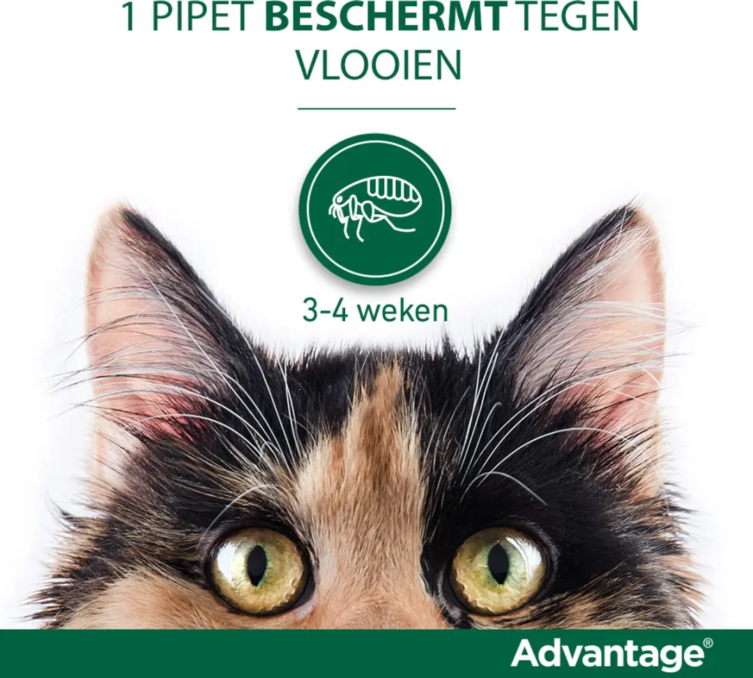 Advantage Vlooiendruppels Kat tot 4 kg - 4 Pipetten