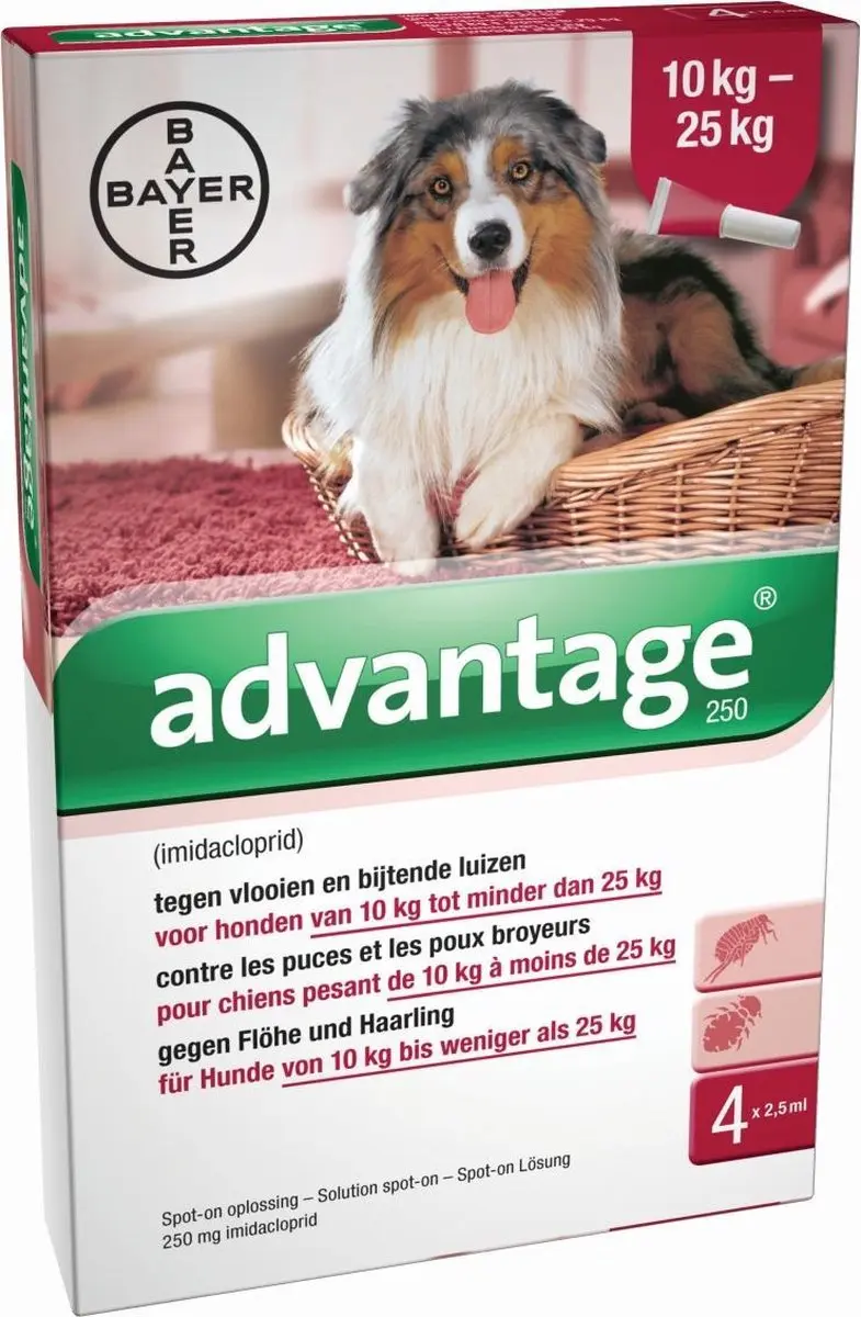 Advantage 250 Anti Vlooienmiddel Hond