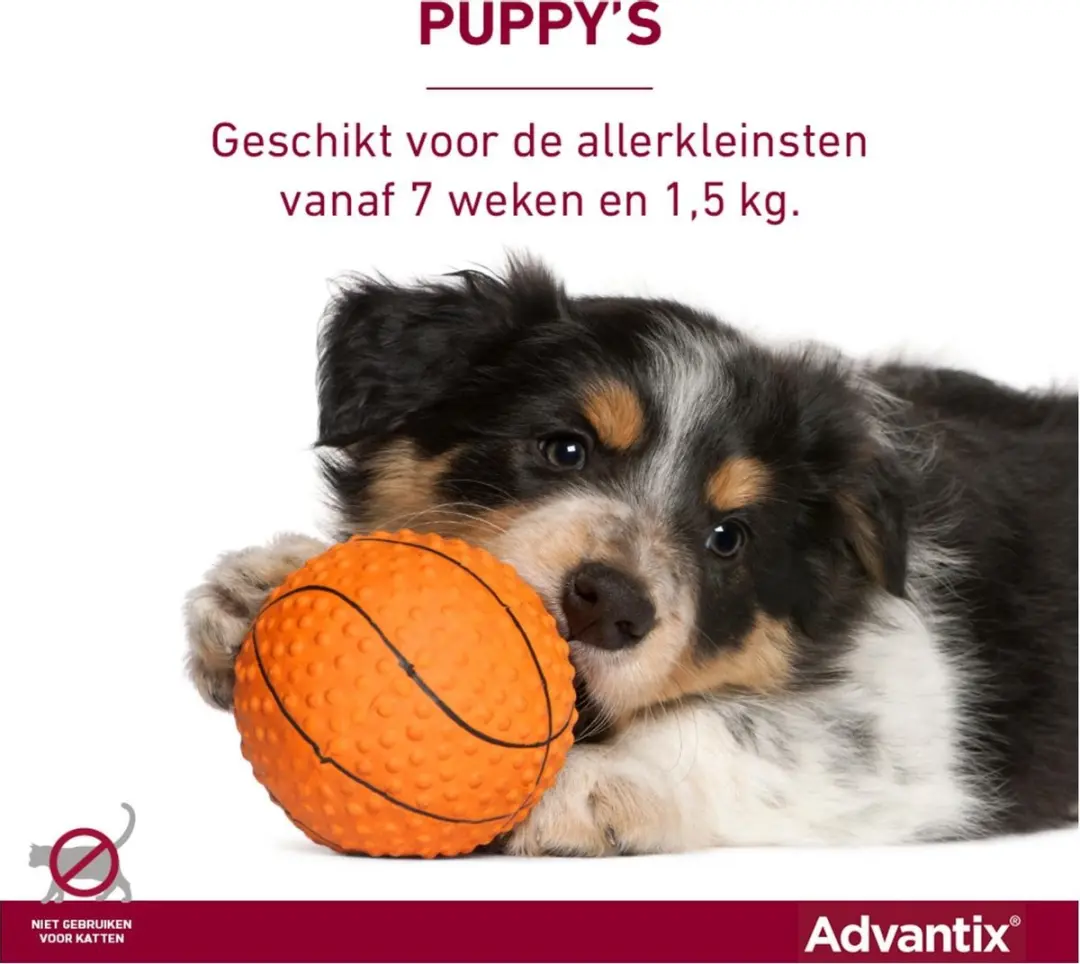 Advantix Vlooien & Teken Pipetten Hond 4-10 kg - 6 Stuks