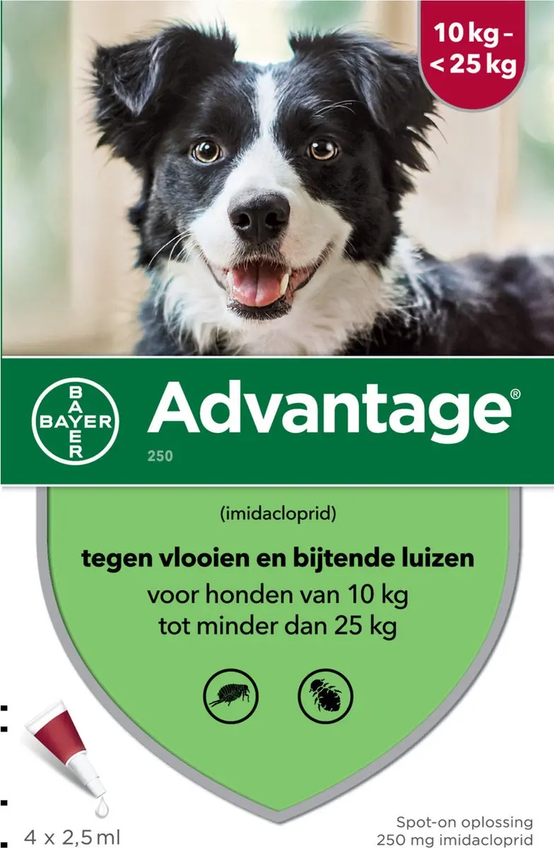 Advantage 250 Vlooiendruppels Hond 10-25 kg - 4 Pipetten