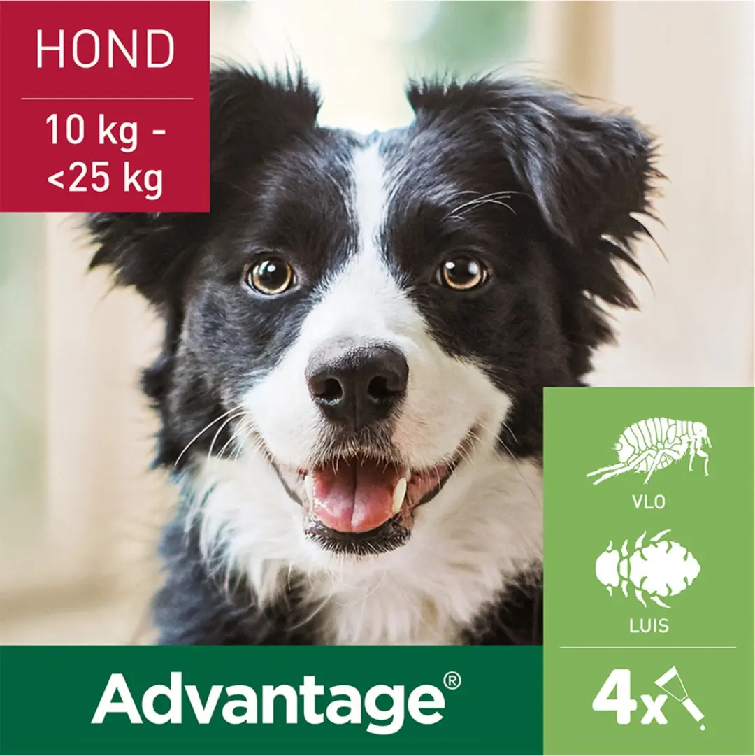 Advantage 250 Vlooiendruppels Hond 10-25 kg - 4 Pipetten