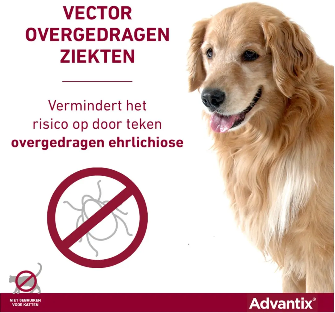 Advantix 40 Hond XS - 4 Pipetten