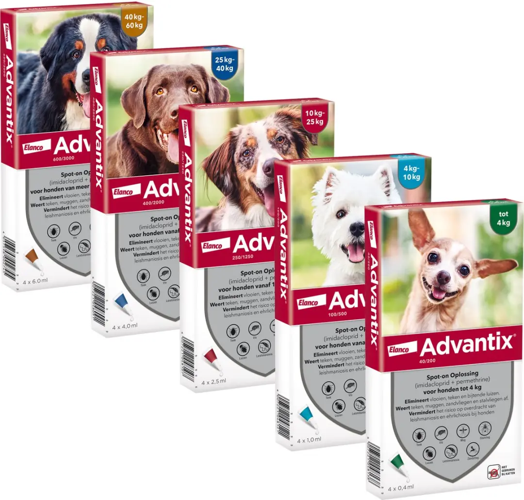 Advantix 40 Hond XS - 4 Pipetten