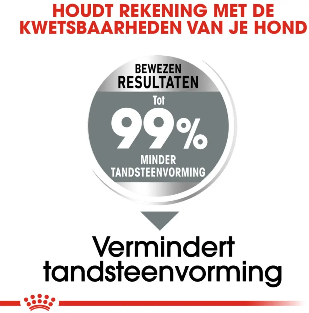 Royal Canin Dental Care Medium Hondenvoer - 4x3kg