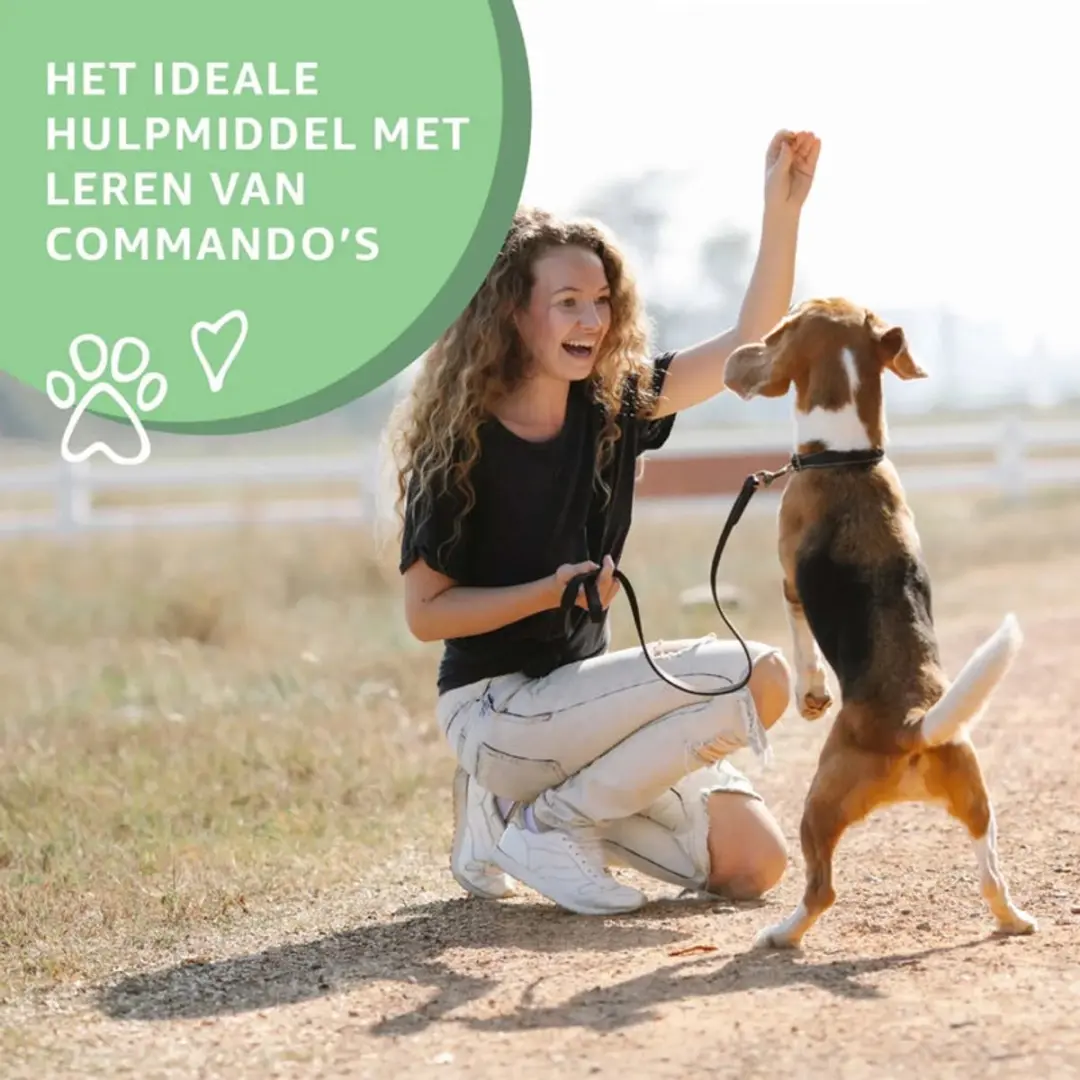 Woef Woef Snacks Trainers Snackbox 600g - Droogvlees - Diverse smaken