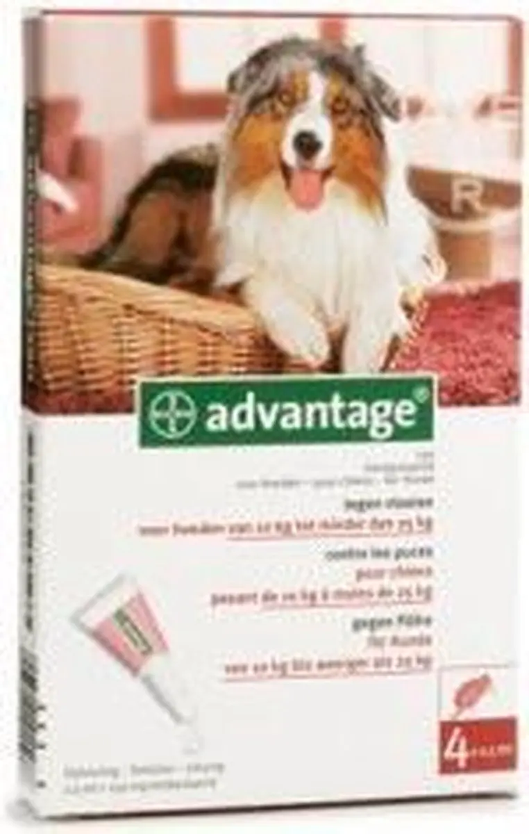 Advantage 100 Anti Vlooienmiddel Hond - 4 Pipetten