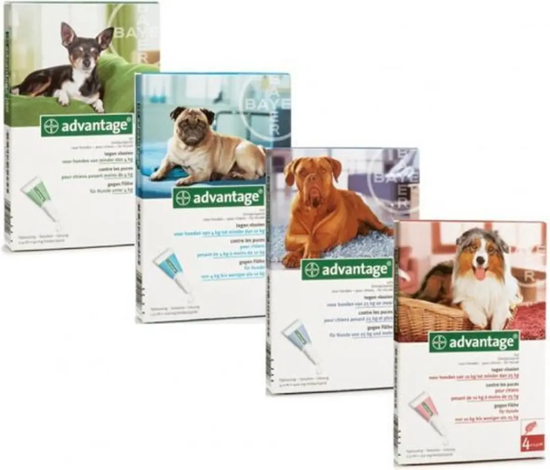 Advantage 100 Anti Vlooienmiddel Hond - 4 Pipetten