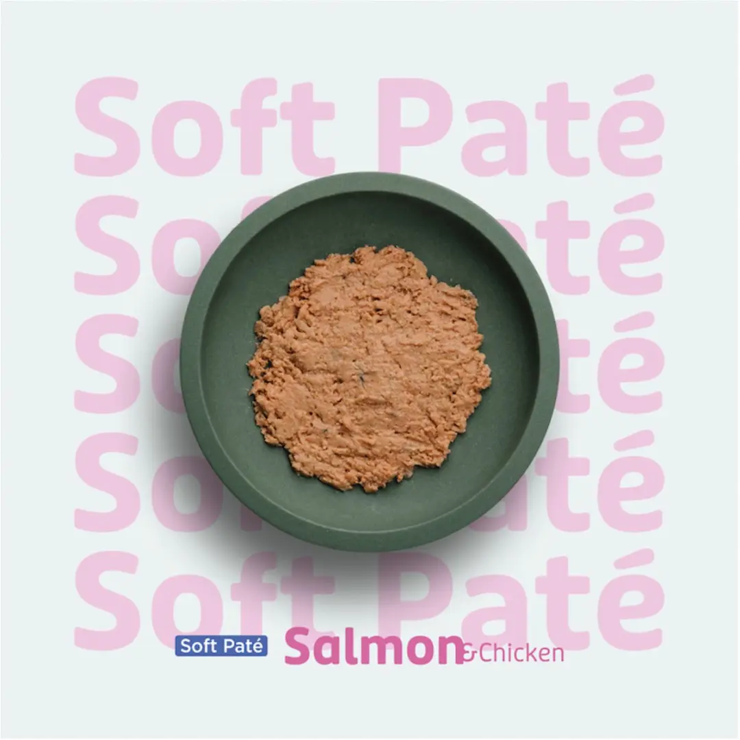 Prins Soft Paté Kattenvoer Kip Zalm 70g
