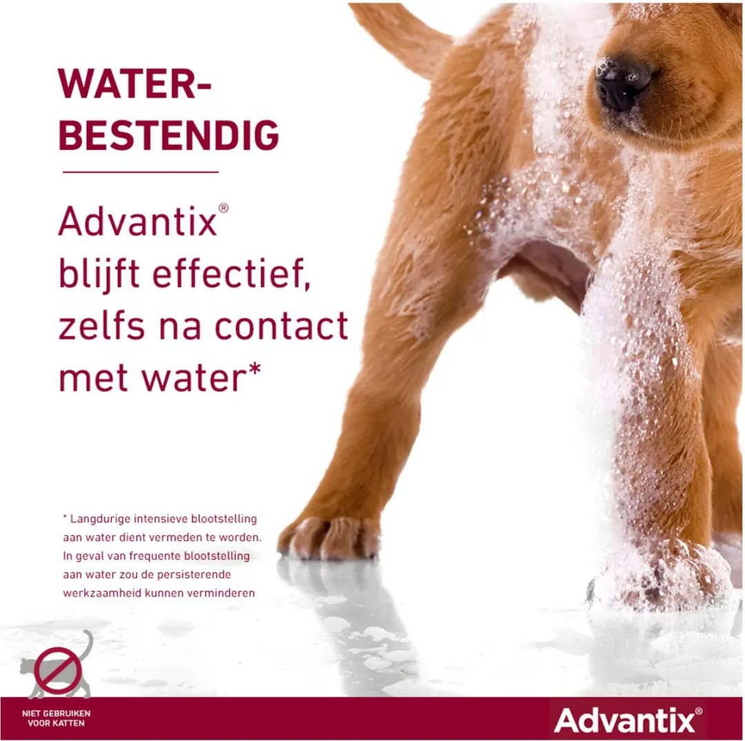 Advantix Spot-On 600 Anti Vlooien & Teken 6 Pipetten - 6 ml
