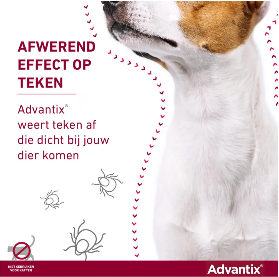 Advantix Spot-On 600 Anti Vlooien & Teken 6 Pipetten - 6 ml