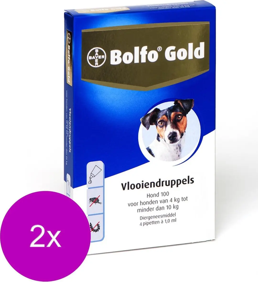 Bolfo Gold Hond Anti-vlooienmiddel 100 - 8 Pipetten - 1ml