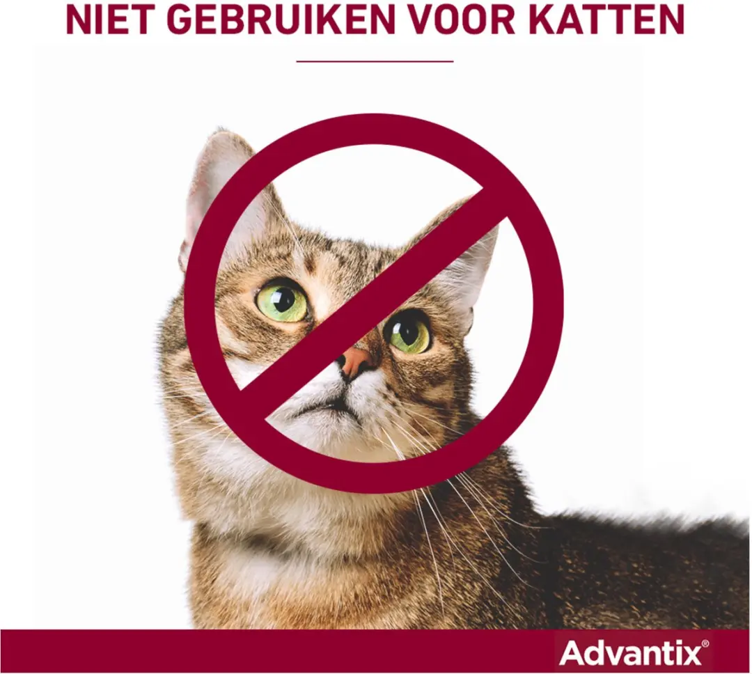 Advantix Vlooien & Teken Pipetten Hond 4-10kg - 4 Stuks