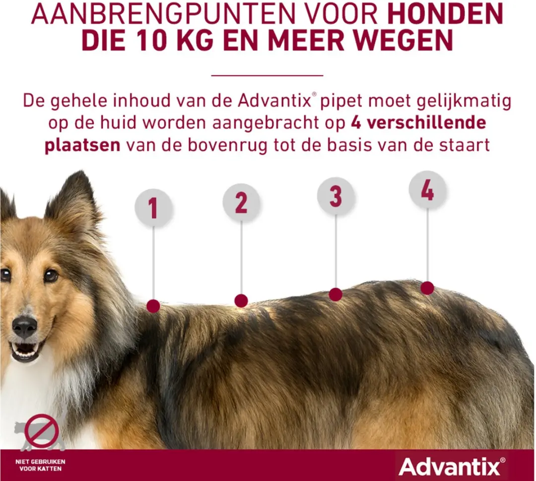 Advantix Vlooien & Teken Pipetten Hond 4-10kg - 4 Stuks