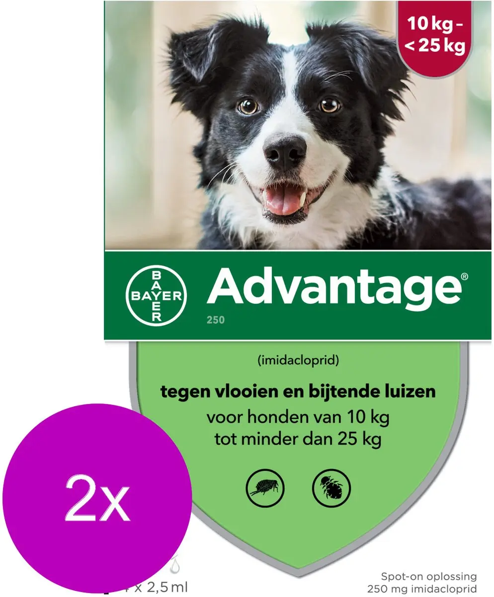 Advantage Hond 4 Pipetten 2x2.5ml
