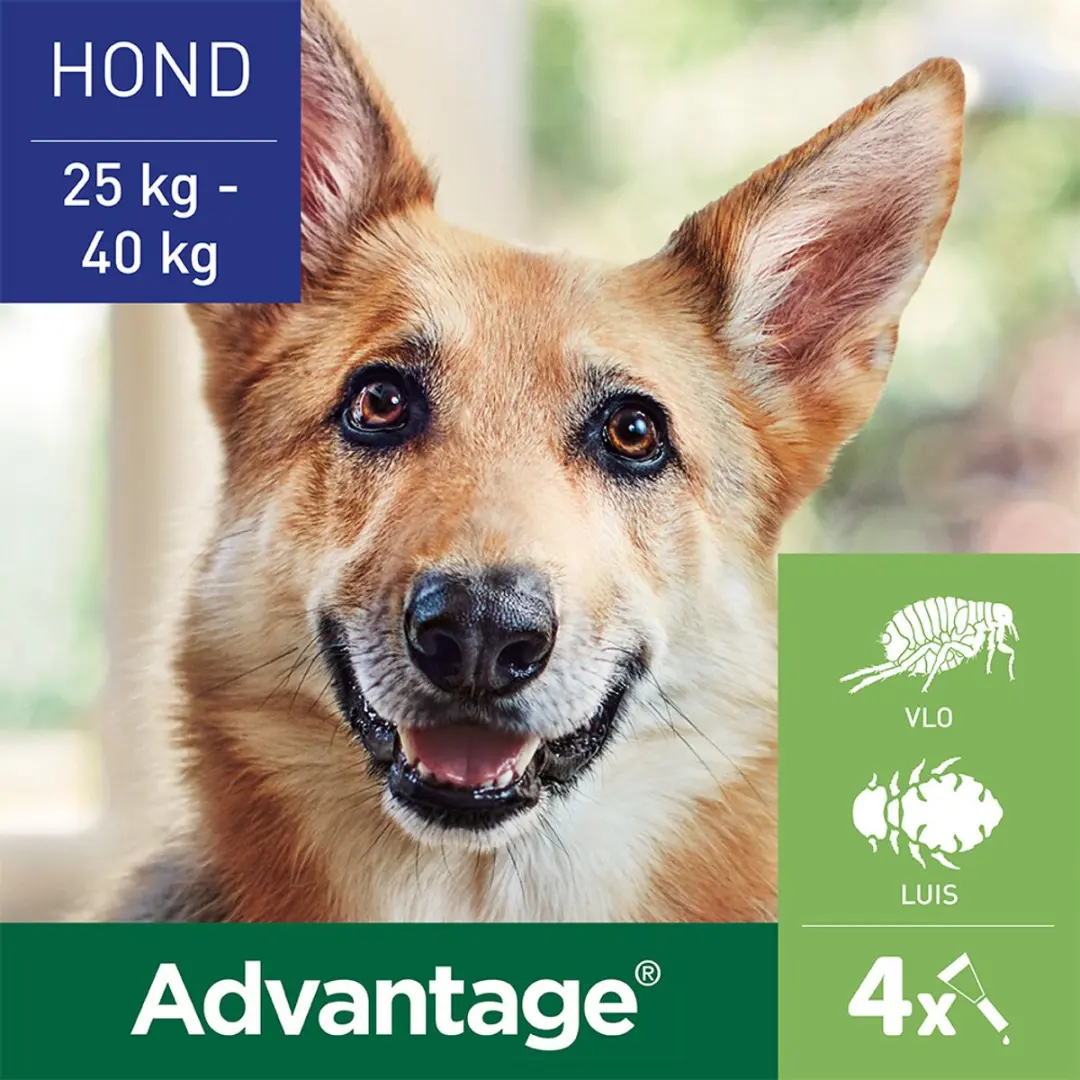 Advantage Anti Vlooiendruppels Hond 25-40kg