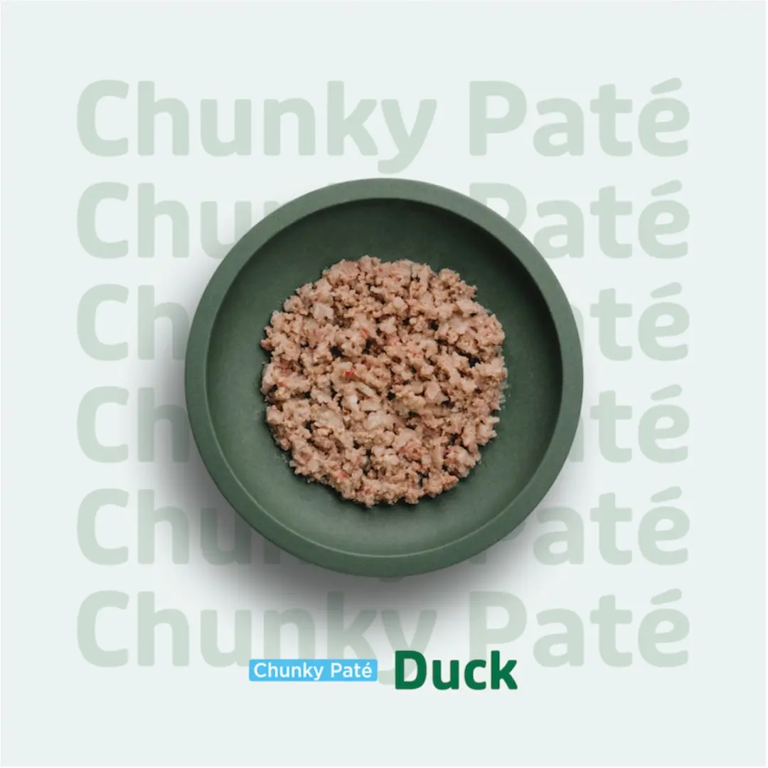 Prins Chunky Paté Eend Kattenvoer 70g
