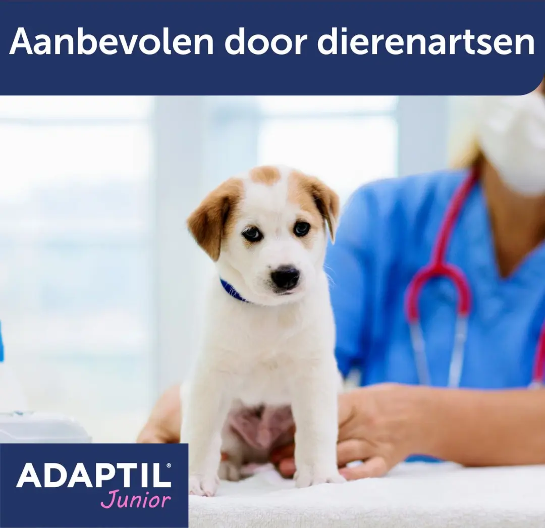 Adaptil Halsband Junior 37,5cm