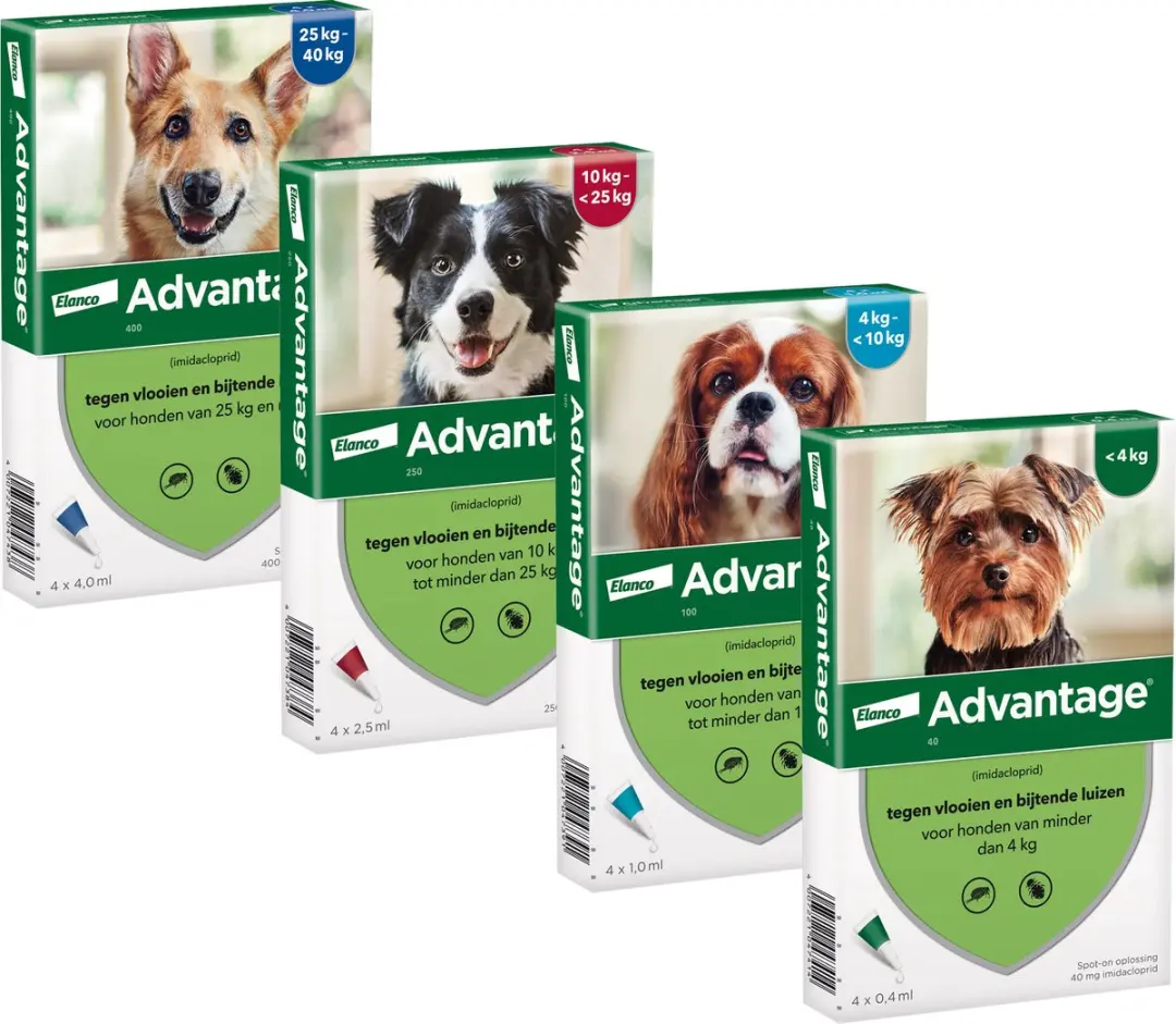 Bayer Advantage Hond 4 Pipetten 2.5ml - 10-25 kg