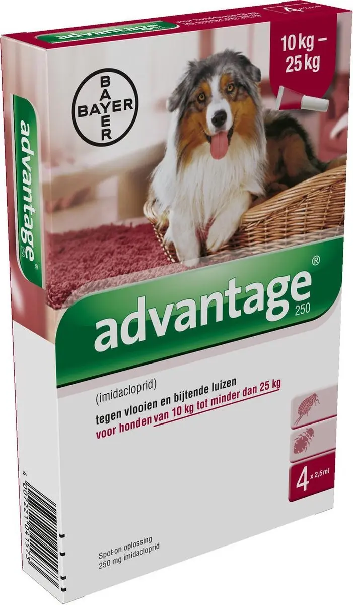 Bayer Advantage Hond 4 Pipetten 2.5ml