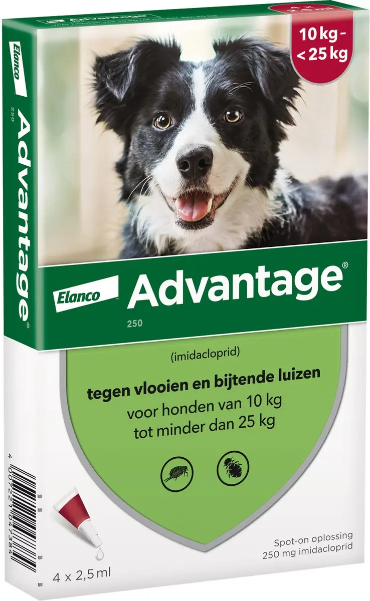 Bayer Advantage Hond 4 Pipetten 2.5ml - 10-25 kg