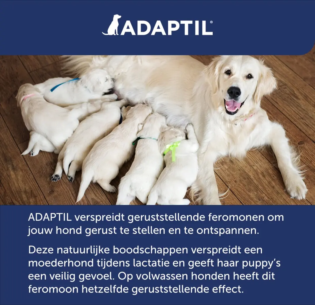 Adaptil Dieren Antistressmiddel Verdamper Startpakket 48ml