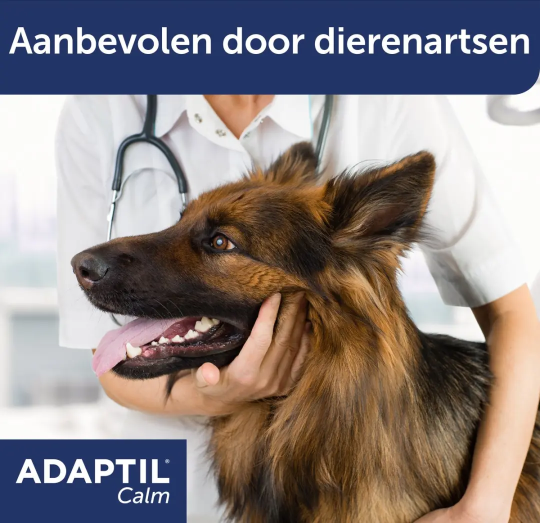 Adaptil Dieren Antistressmiddel Verdamper Startpakket 48ml