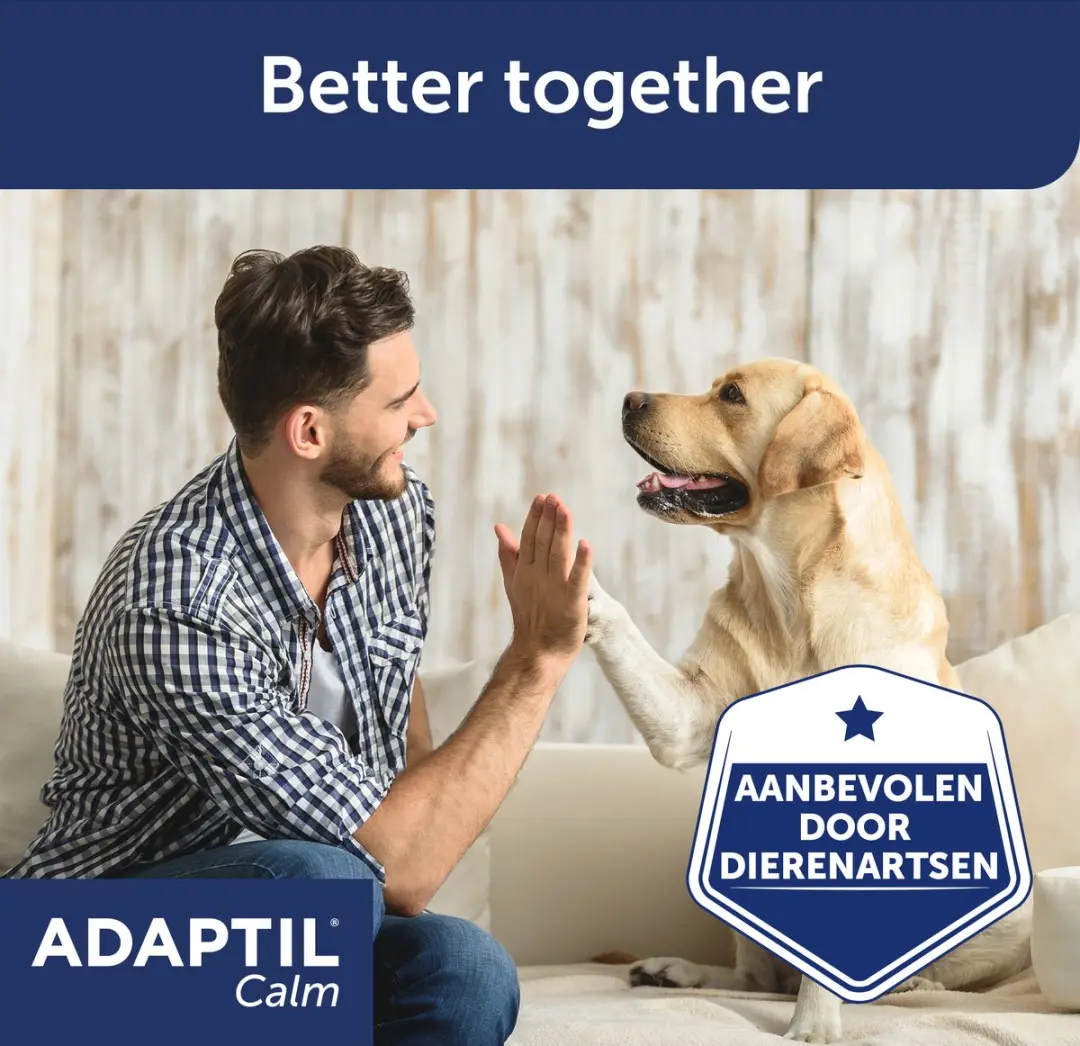 Adaptil Calm Navulling 3x48ml - Antistress voor Honden