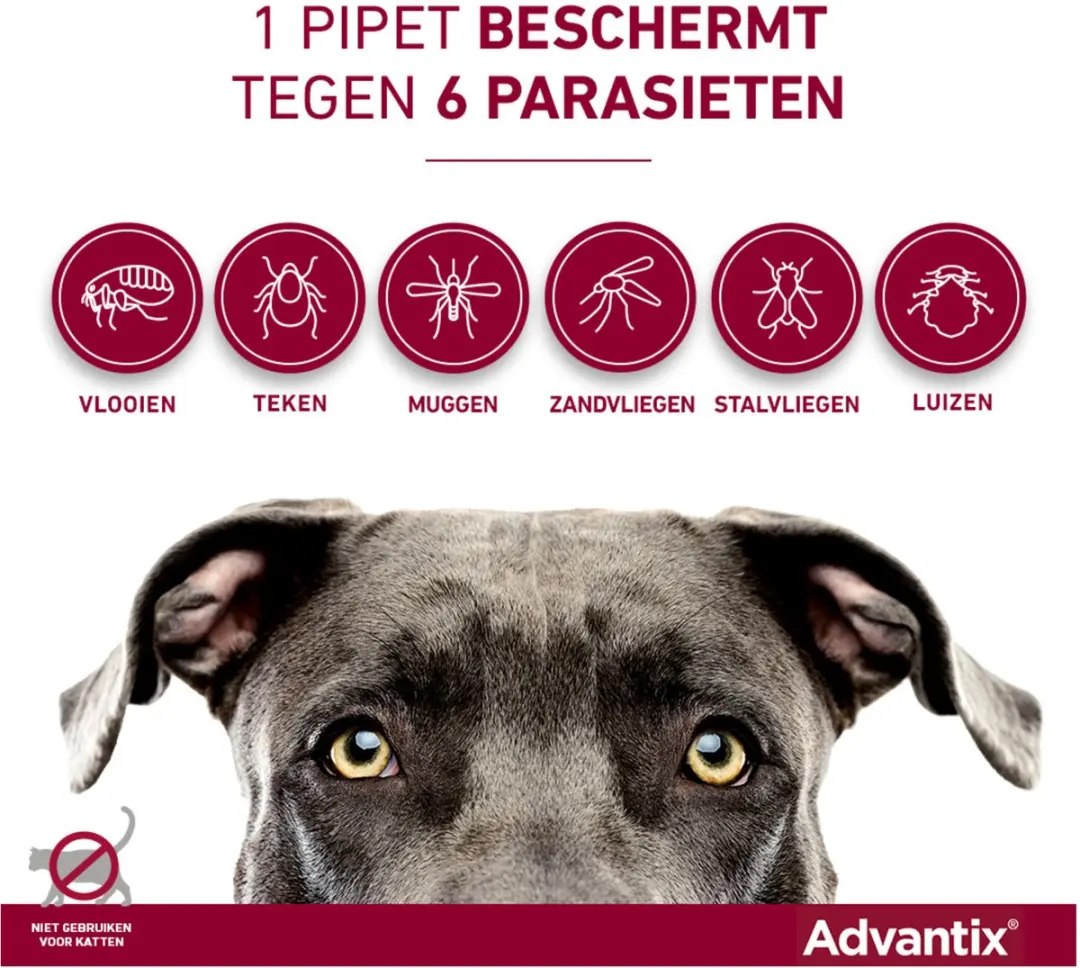 Advantix Vlooien & Teken Pipetten Hond 10-25kg - 6 Stuks