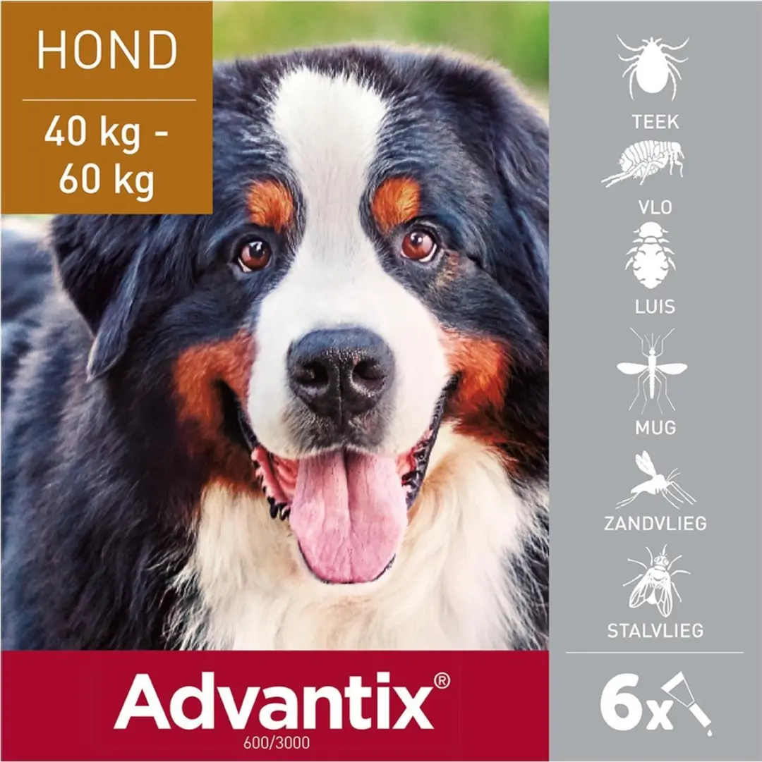 Advantix Vlooien & Teken Pipetten Hond 40+ kg - 6 Stuks