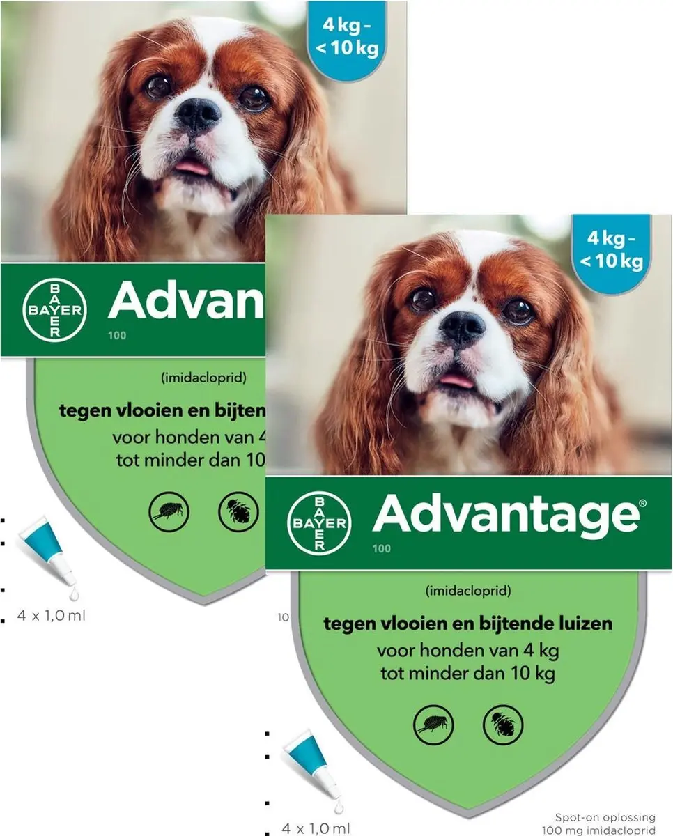 Advantage Hond Pipetten 4-10kg