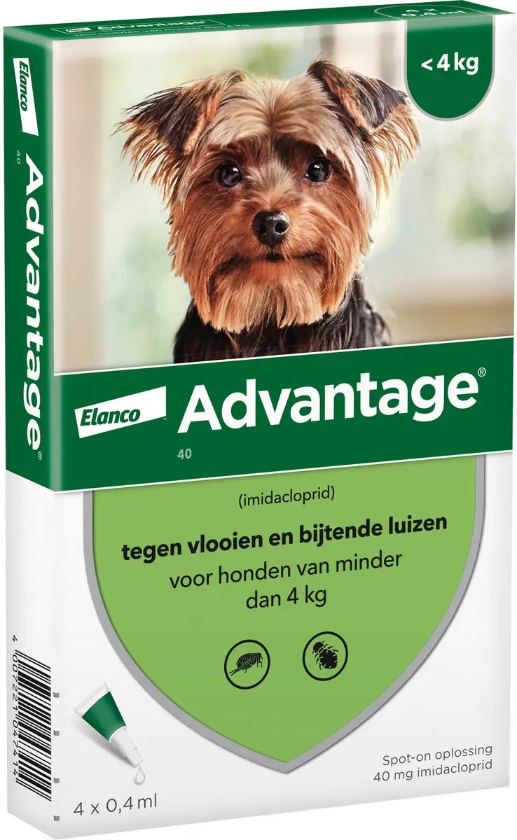 Bayer Advantage 40 Hond - 4 Pipetten