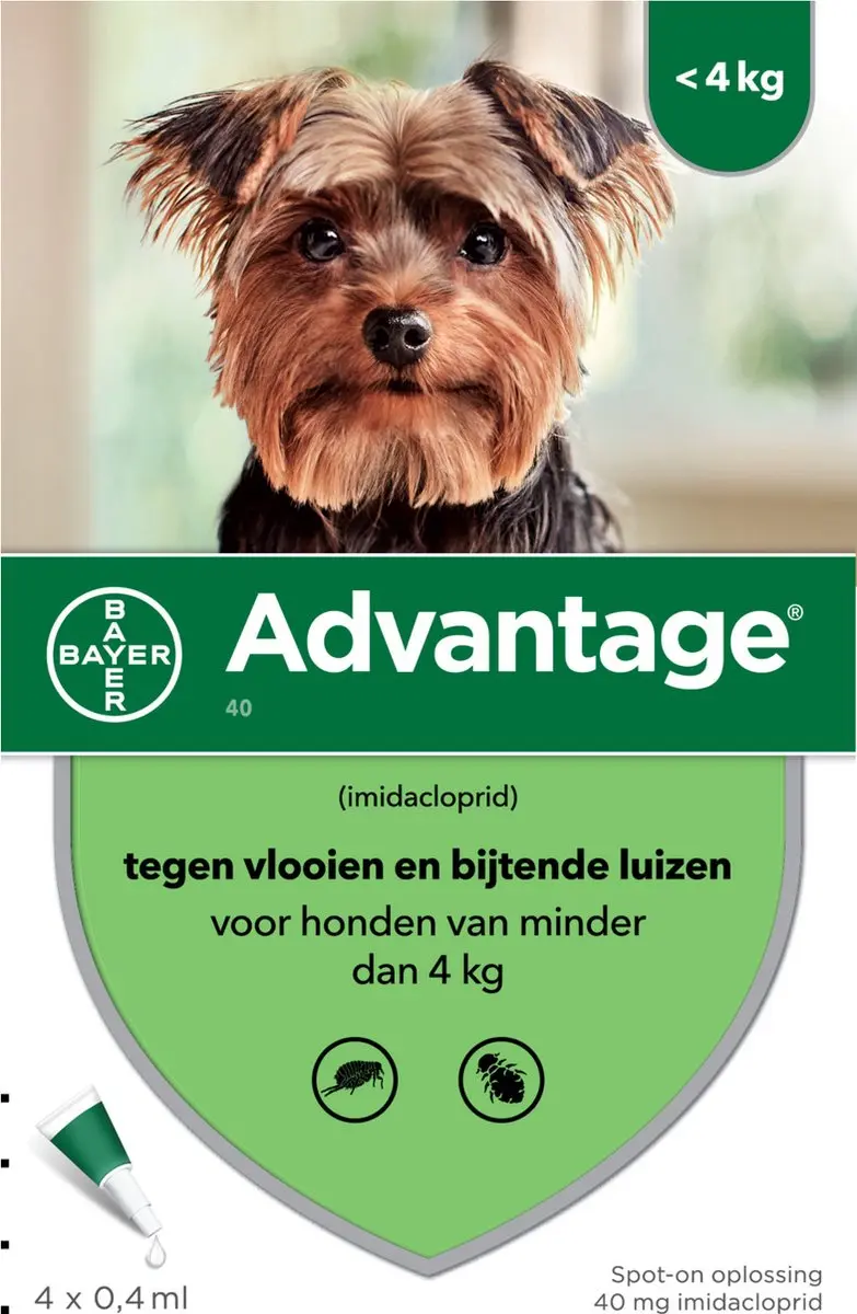 Bayer Advantage 40 Hond