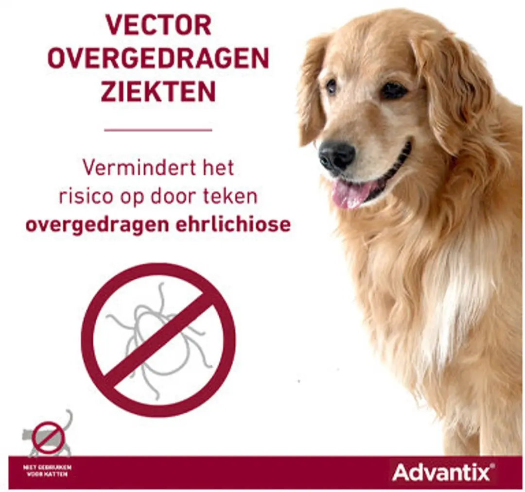 Advantix Spot On 40/200 Anti Vlooienmiddel Hond - 6 Pipetten
