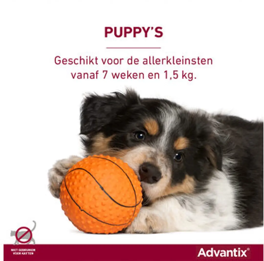 Advantix Spot On 40/200 Anti Vlooienmiddel Hond - 6 Pipetten