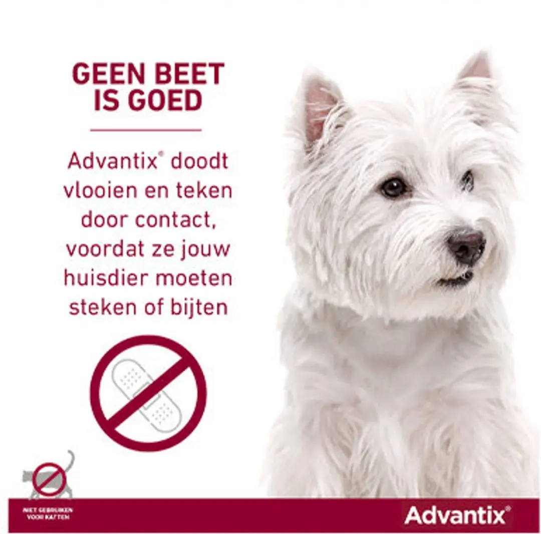 Advantix Spot On 40/200 Anti Vlooienmiddel Hond - 6 Pipetten