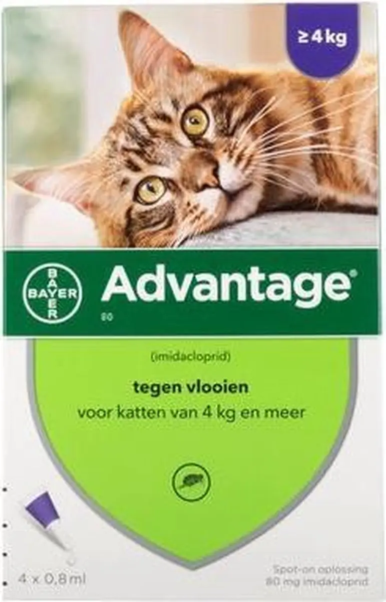 Advantage Kat Pipet 4 Stuks