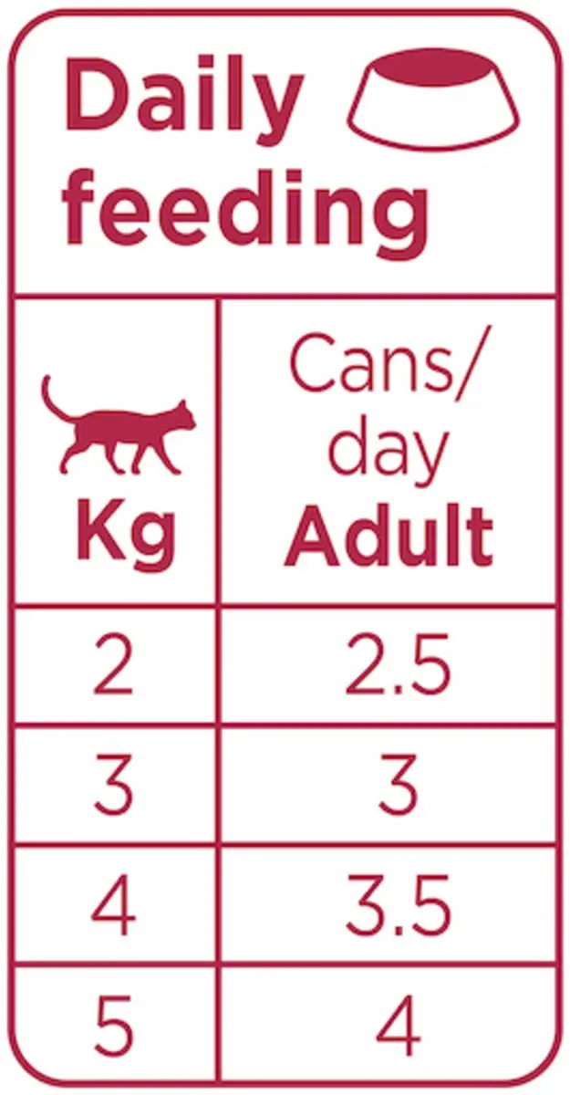 Prins Chunky Paté Kattenvoer Kip Kalkoen 70g