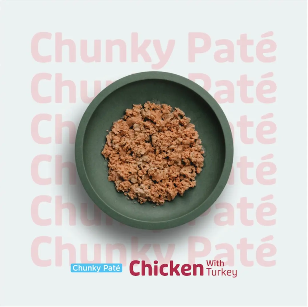 Prins Chunky Paté Kattenvoer Kip Kalkoen 70g