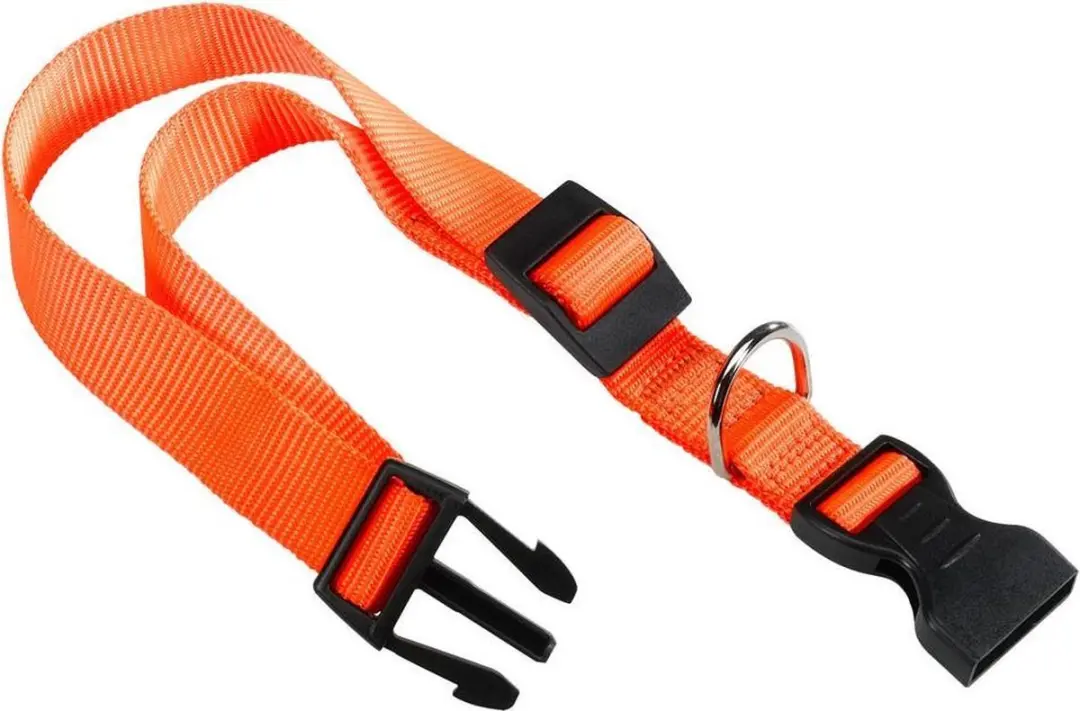 Ferplast Hondenhalsband Club 25x1cm