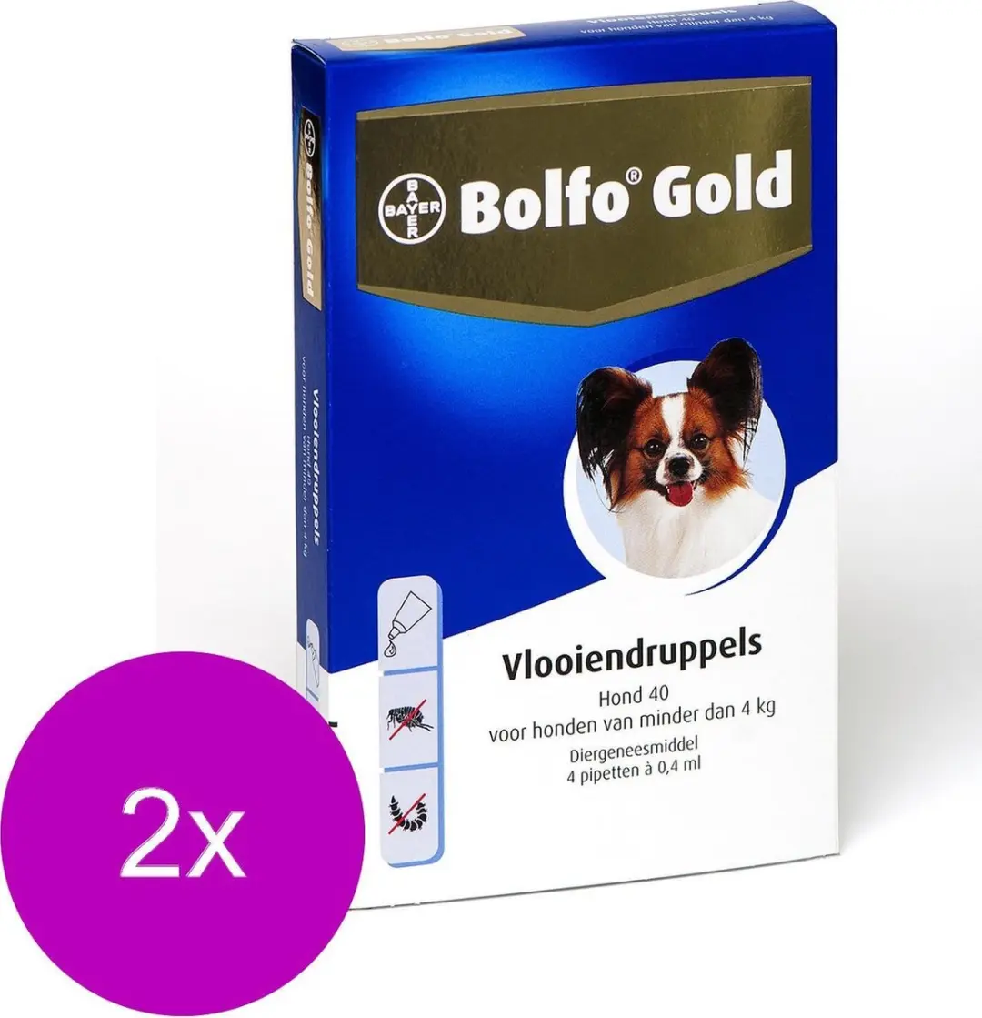 Bolfo Gold Hond 40 Anti-vlooienmiddel