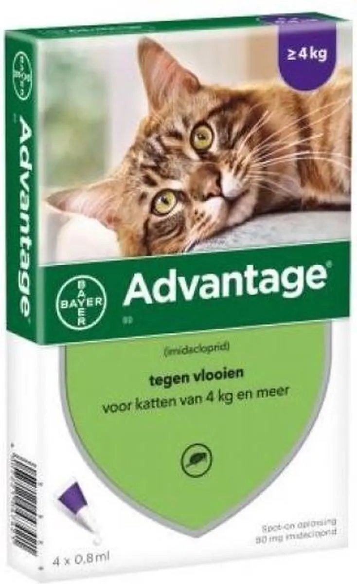 Advantage Kat Pipetten 4 Stuks